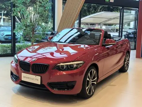 BMW 2 Series 2019