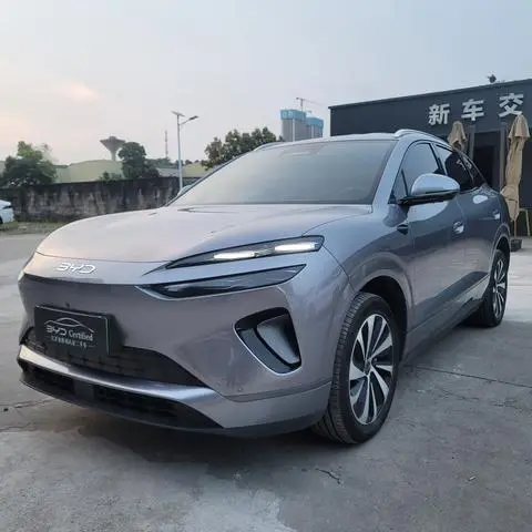 BYD 海狮06EV 2025