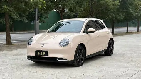 ORA 好猫 2024