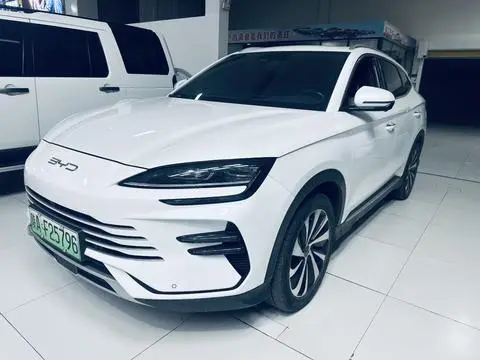 BYD 宋PLUS DM 2023