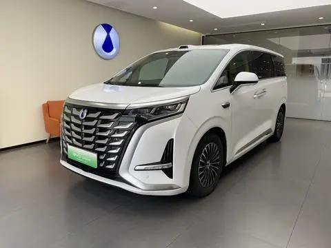 Denza D9 DM 2025