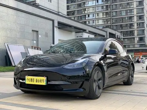 Tesla Model 3 2021 — фото 1
