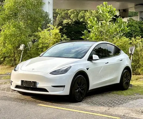 Tesla Model Y 2021 — фото 1