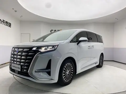 Denza D9 DM 2024