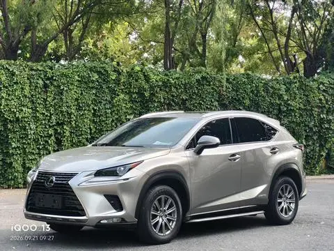 Lexus NX 2020