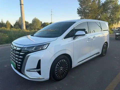 Denza D9 DM 2022