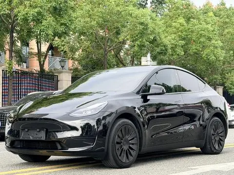 Tesla Model Y 2023 — фото 1