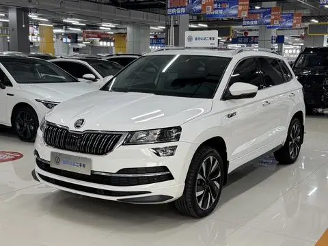 Skoda 柯珞克 2022 — фото 1