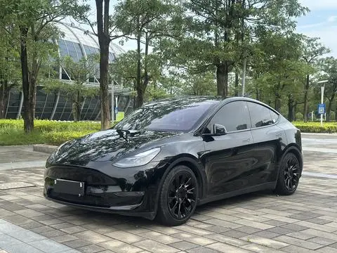 Tesla Model Y 2021 — фото 1
