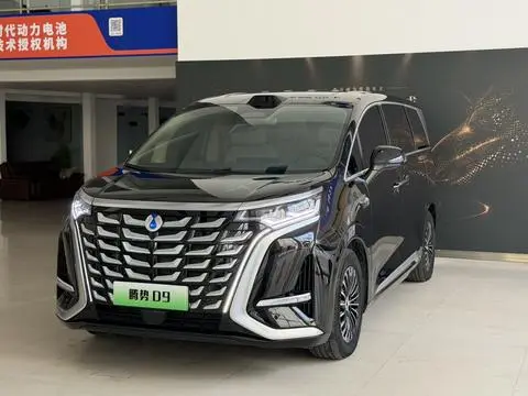 Denza D9 DM 2025