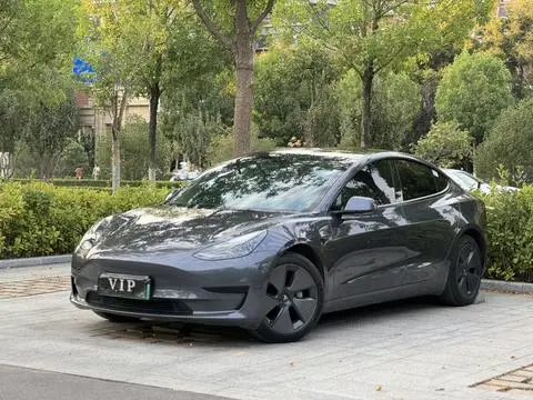 Tesla Model 3 2021 — фото 1