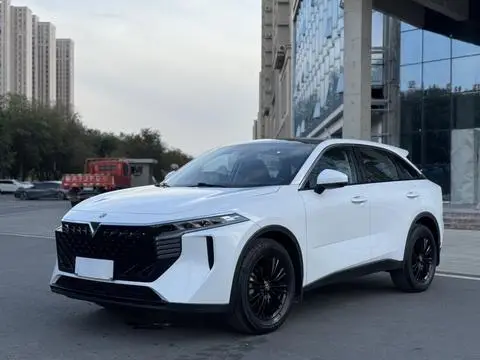Venucia 大V 2022