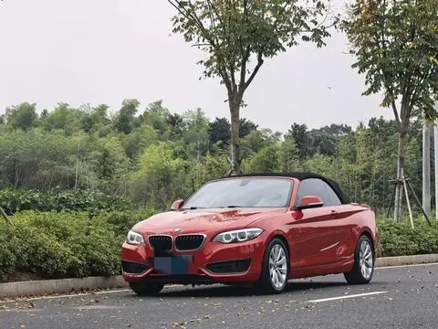BMW 2 Series 2018