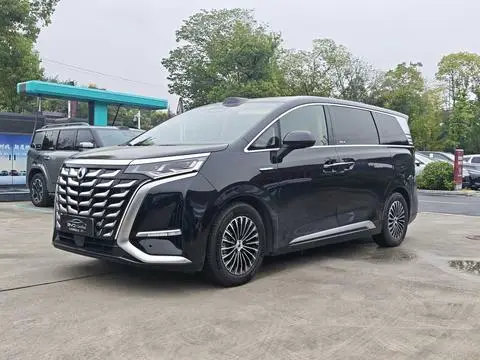 Denza D9 DM 2025