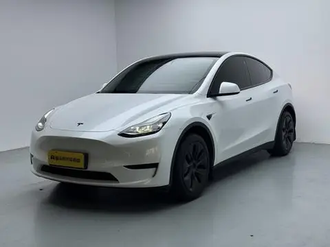 Tesla Model Y 2023 — фото 1