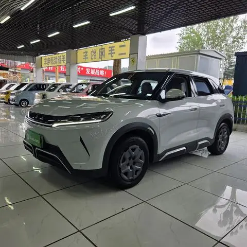 BYD 元UP 2024