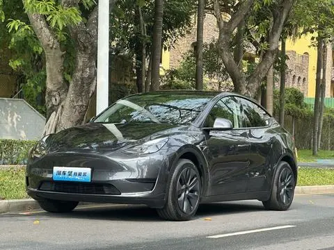 Tesla Model Y 2024 — фото 1