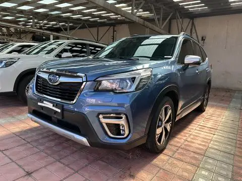 Subaru FORESTER森林人 2019