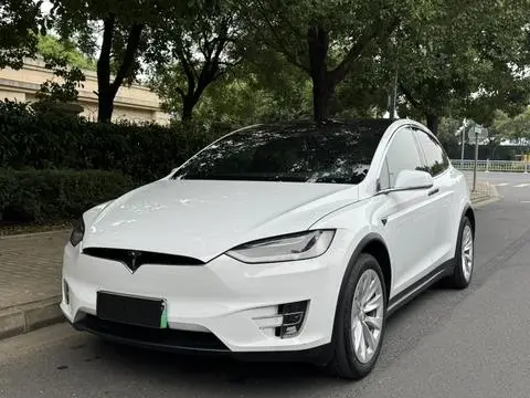 Tesla Model X 2016 — фото 1