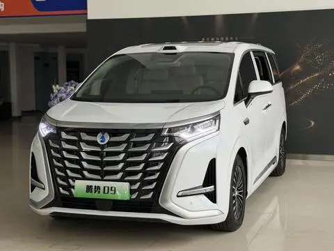 Denza D9 DM 2025