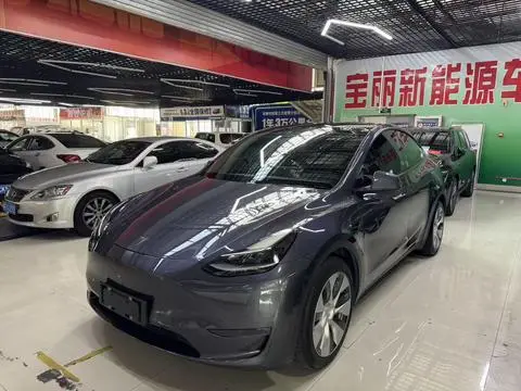 Tesla Model Y 2021 — фото 1