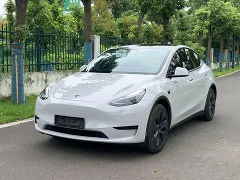 Tesla Model Y 2023 — фото 1