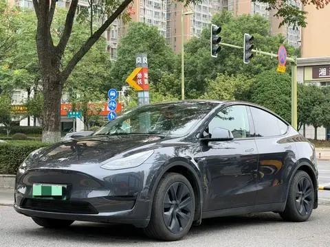 Tesla Model Y 2024 — фото 1