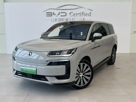 Denza N9 2025