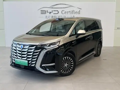 Denza D9 DM 2025