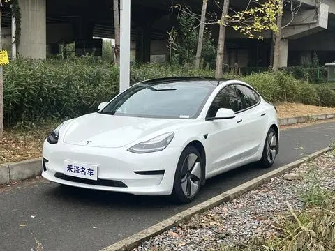 Tesla Model 3 2020