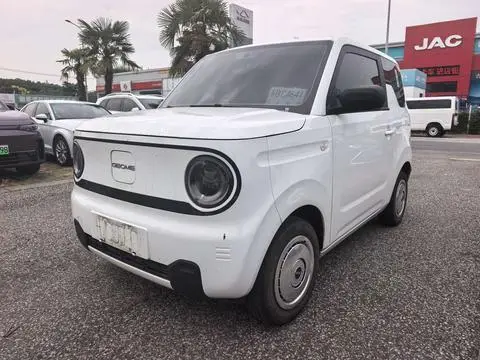 Geely 熊猫 2024