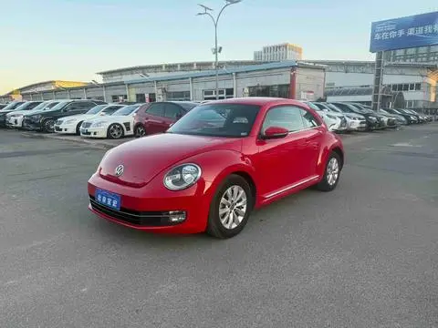 Volkswagen 甲壳虫 2013