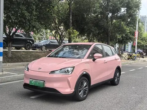 NETA V 2022