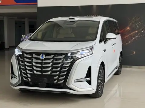 Denza D9 DM 2025