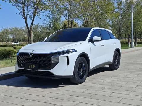 Venucia 大V 2022