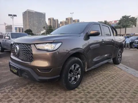 Great Wall 炮 2021