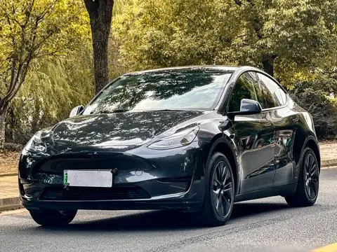 Tesla Model Y 2024 — фото 1