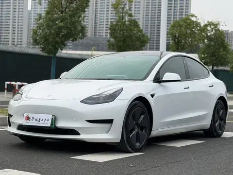 Tesla Model 3 2021 — фото 1