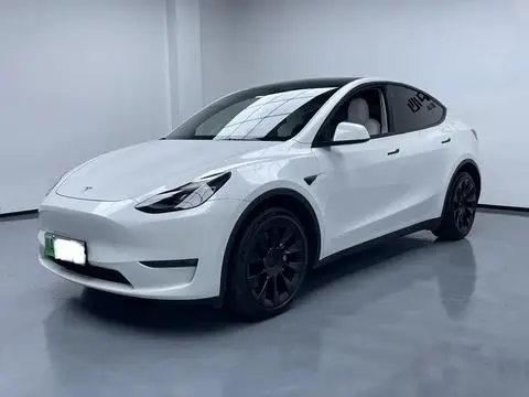 Tesla Model Y 2021 — фото 1