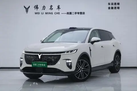 Voyah 知音 2025