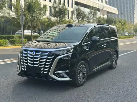 Denza D9 DM 2025