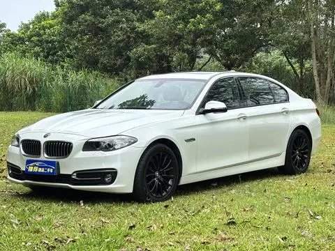 BMW 5 Series 2014 — фото 1