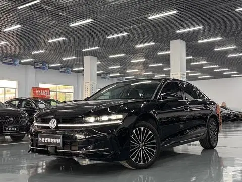 Volkswagen Magotan 2024