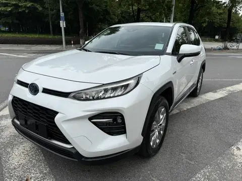 Toyota 威兰达 2021