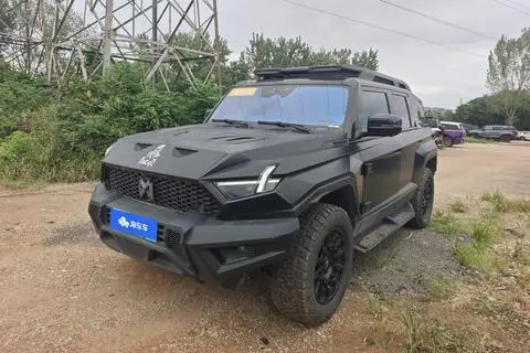 Mengshi 917 2023