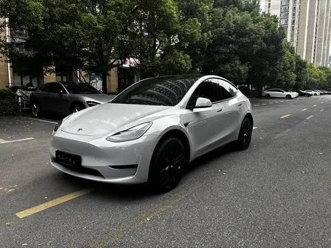 Tesla Model Y 2021 — фото 1