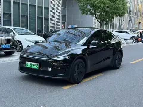 Tesla Model Y 2025 — фото 1