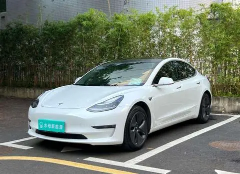 Tesla Model 3 2019
