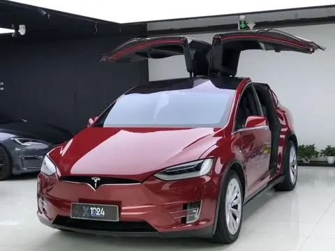 Tesla Model X 2019