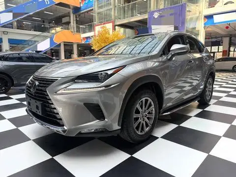 Lexus NX 2020 — фото 1